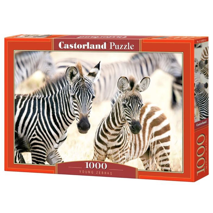Unge zebraer 1000 brik, +10år