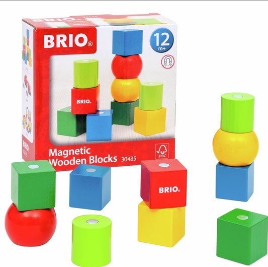 BRIO Magnetiske træklodser 30435
