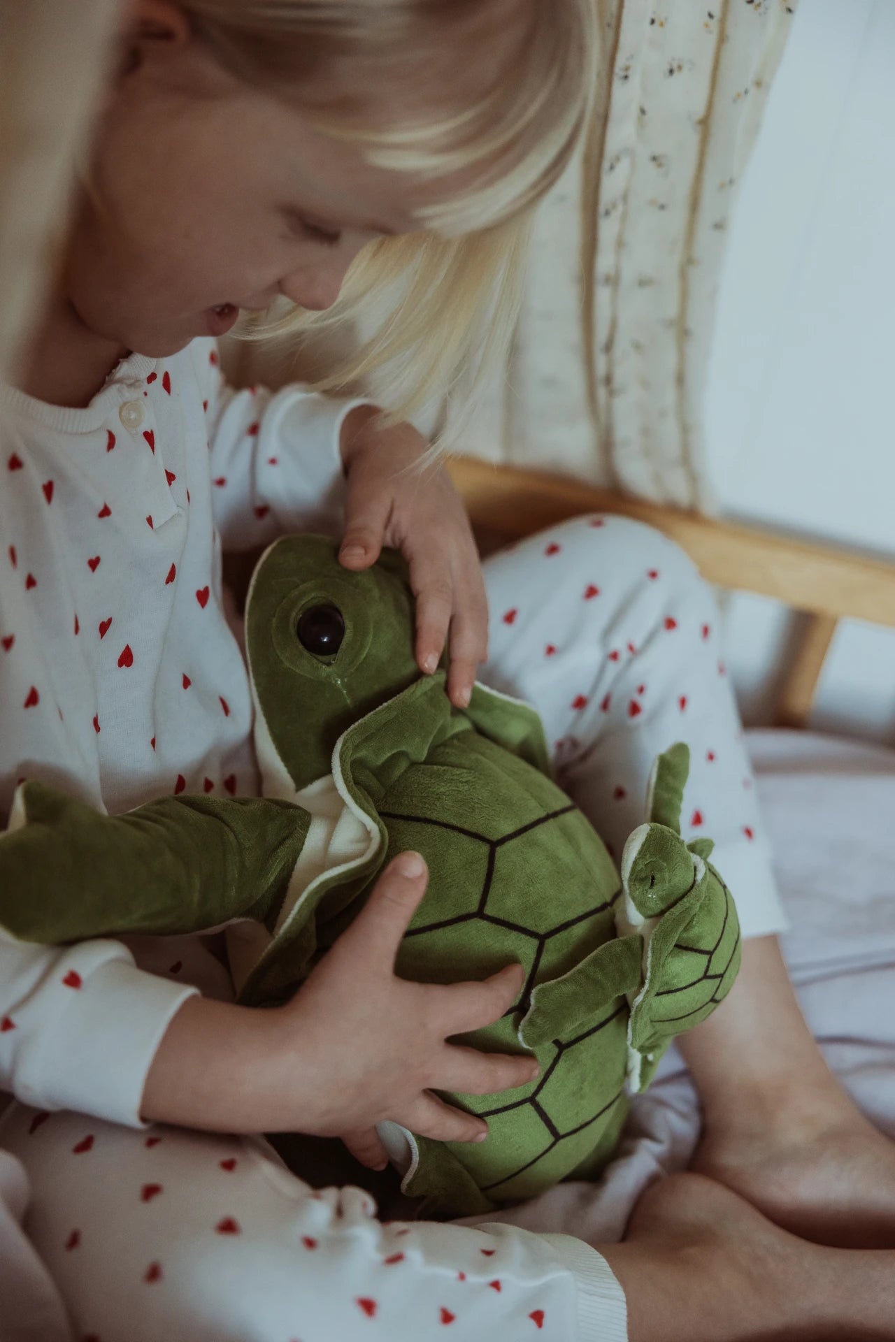 Astrup Tyngdedyr Skildpadde 1,6 kg.