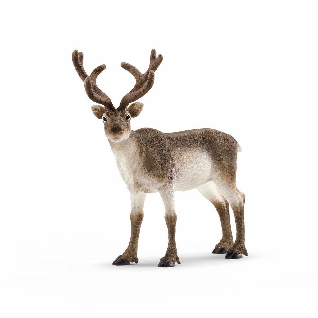Schleich rensdyr 14837