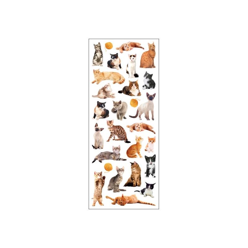 STICKERS KATTE TINKA