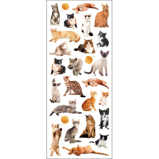 Tinka Stickers katte