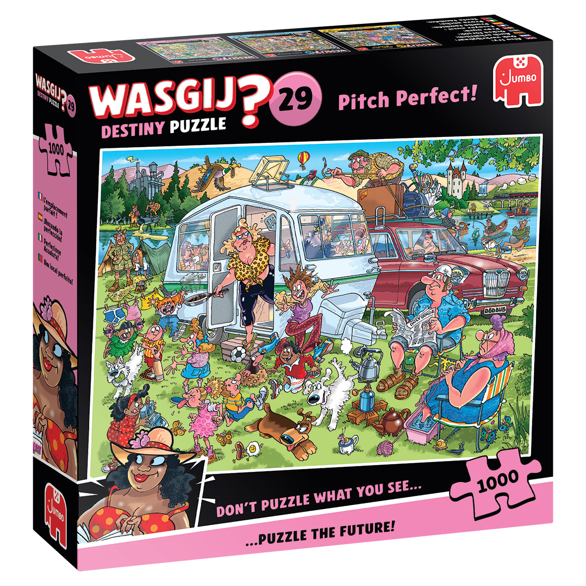 Wasgij Destiny 29 - Pitch Perfect! 1000 Brikker