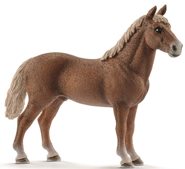 Schleich Morgan hingst 13869