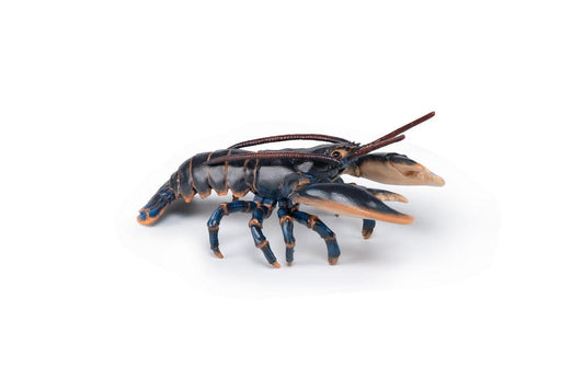 Papo Hummer