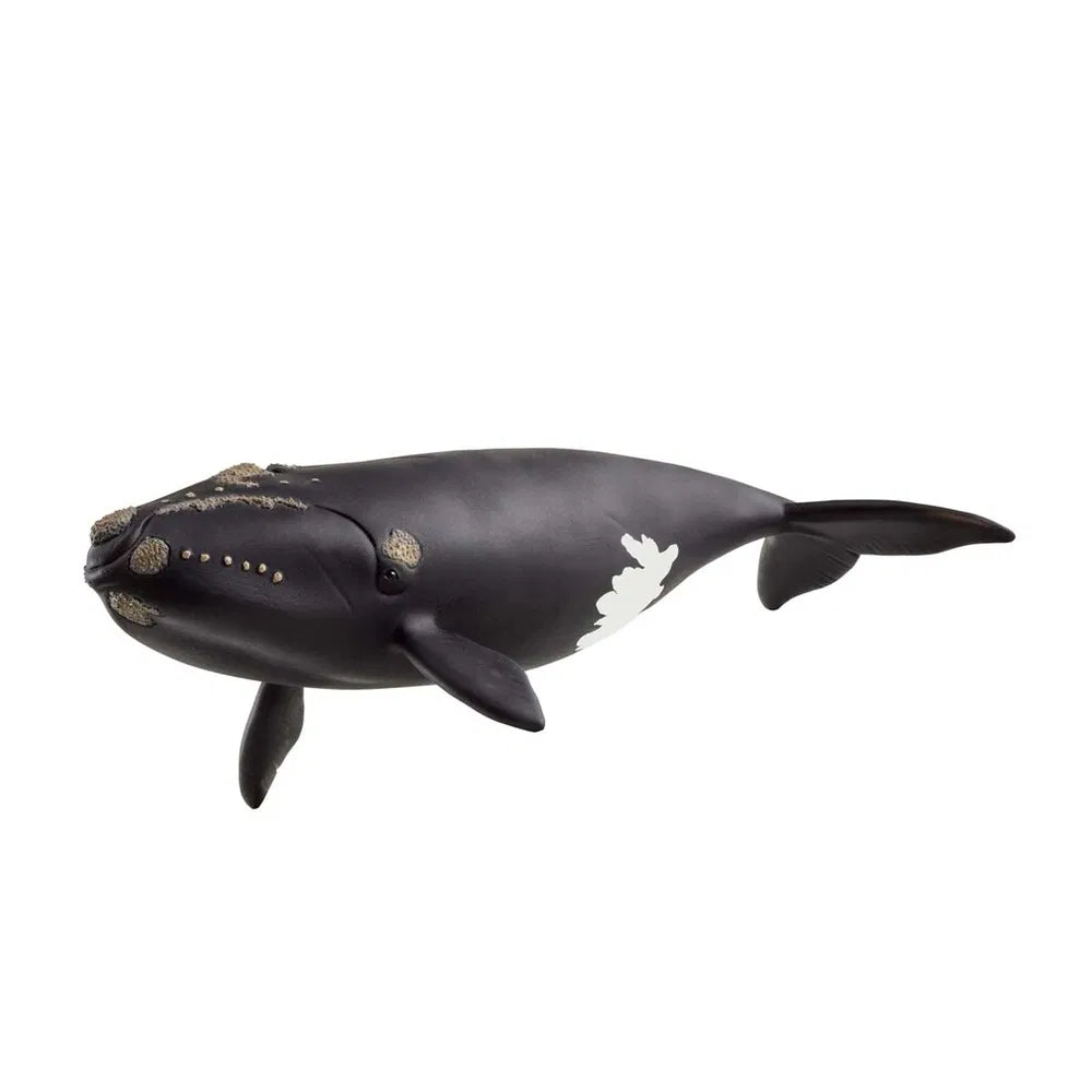 Schleich Nordatlantisk Rethval 14878