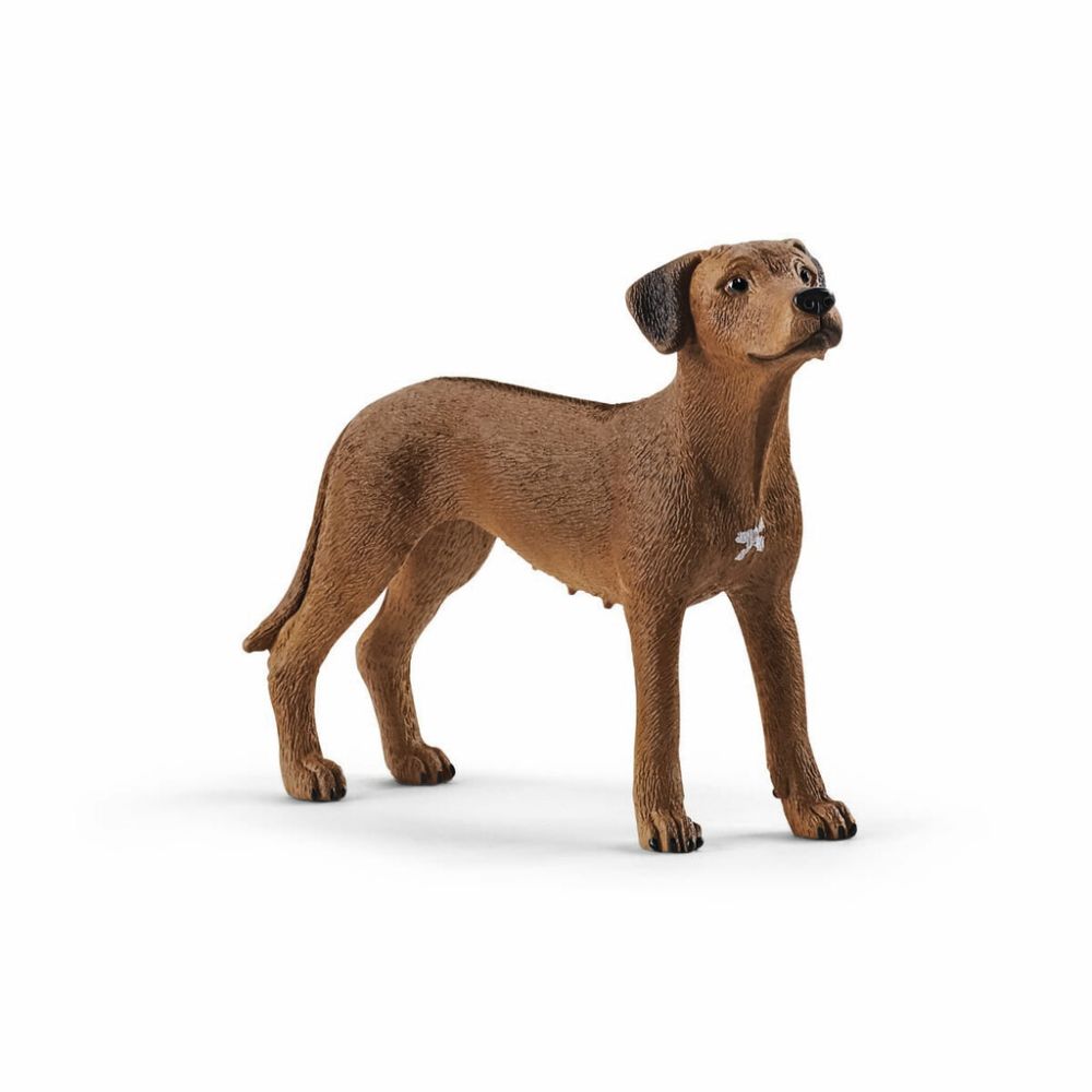 Schleich Rhodesian Ridgeback 13895