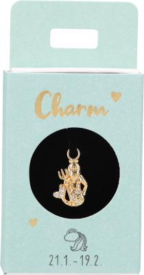 Charms til ørering guld Stjernetegn Vandmand (21/1-19/2)
