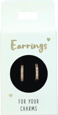 Øreringe Guld med sten 01