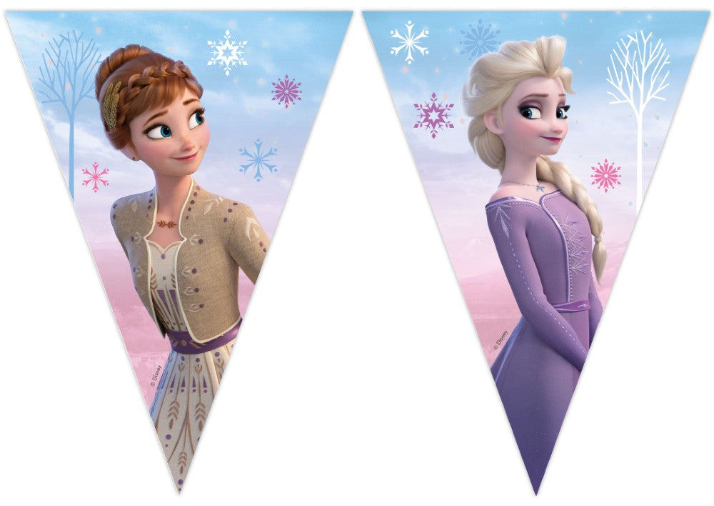 Disney Frozen banner