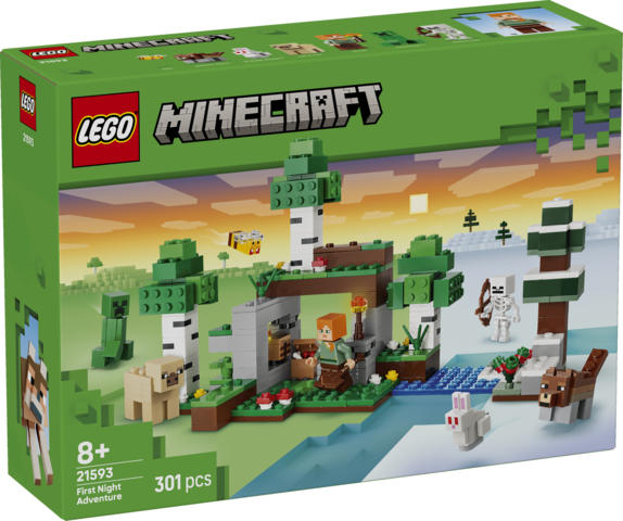 LEGO Første nats eventyr 21593