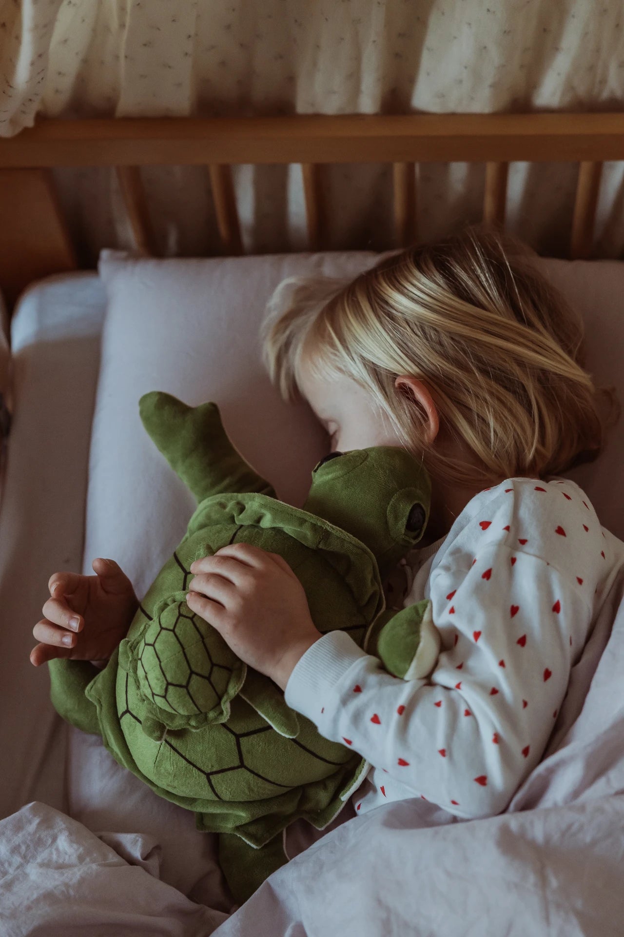 Astrup Tyngdedyr Skildpadde 1,6 kg.