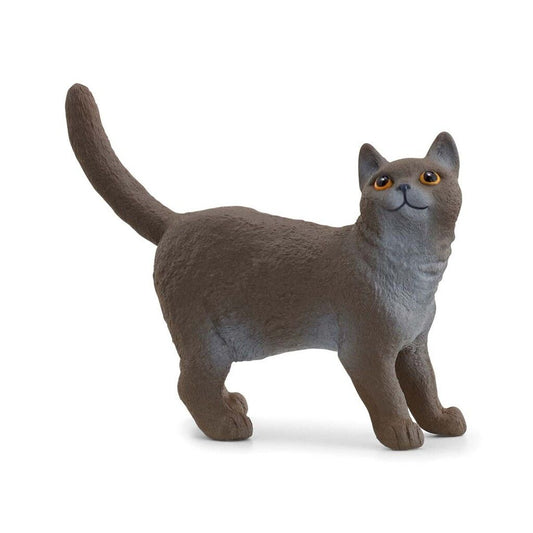 Schleich Britisk korthår kat 13973