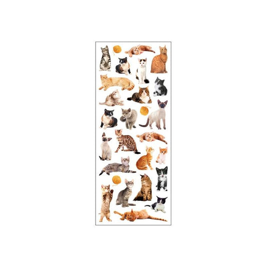 STICKERS KATTE TINKA