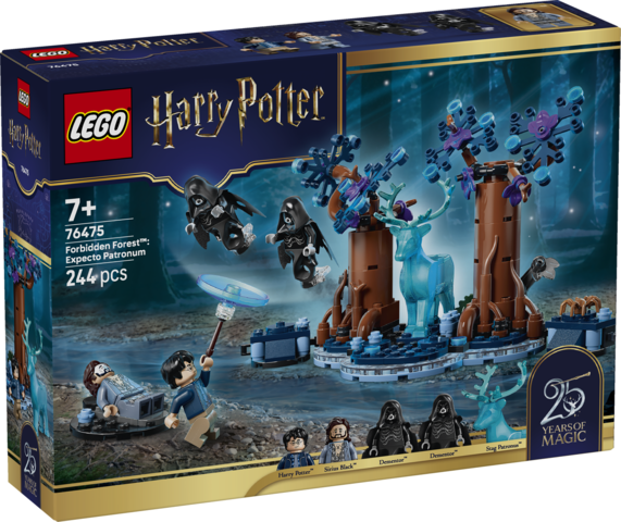 LEGO Den Forbudte Skov: Expecto 76475