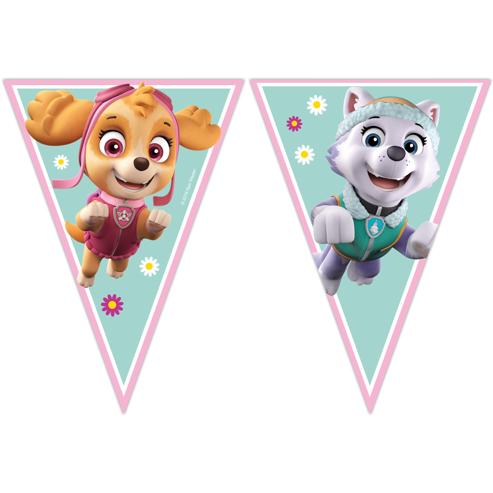 Paw Patrole banner med Sky og Everest