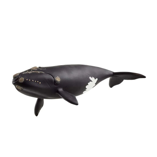 Schleich Nordatlantisk Rethval 14878