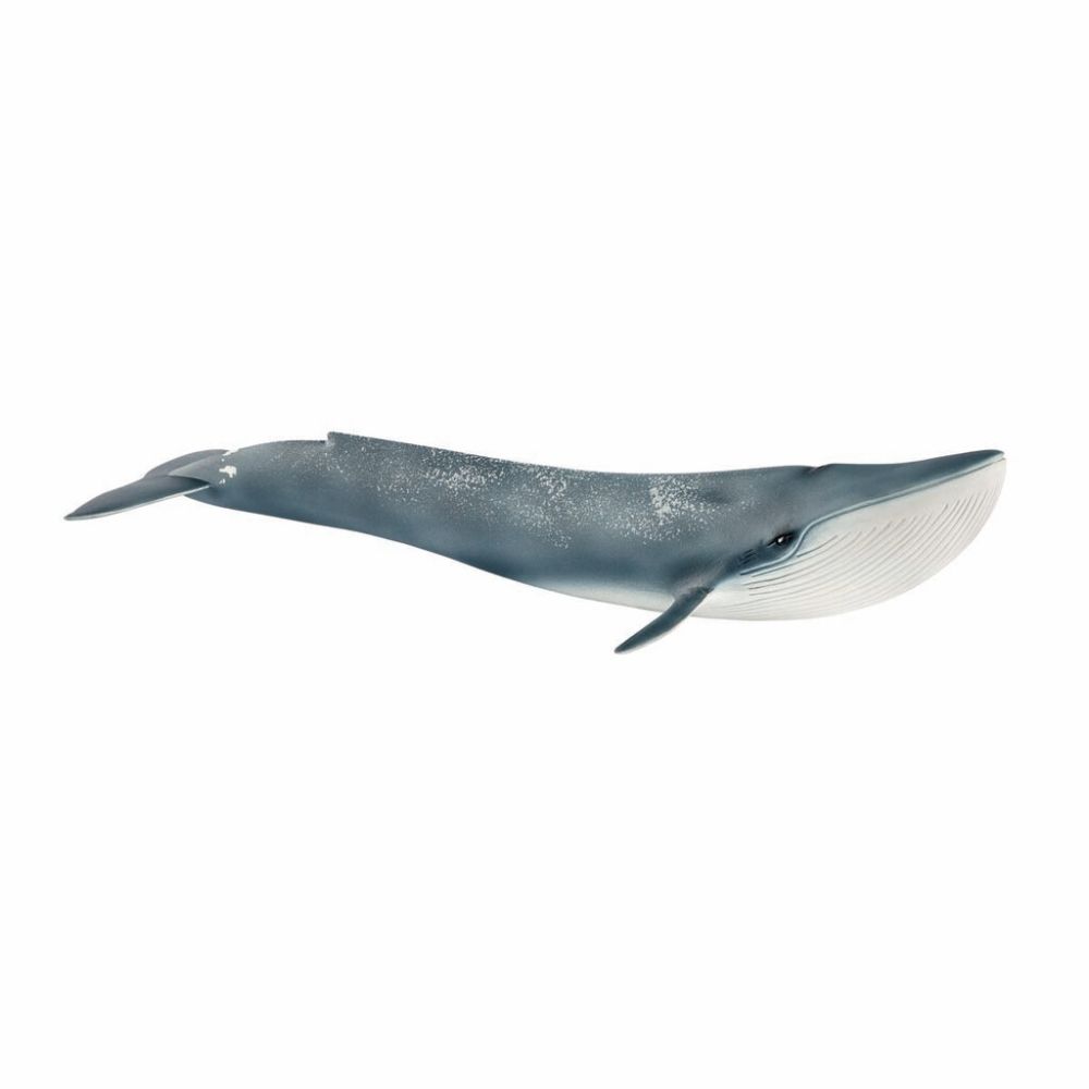 Schleich blåhval 14806